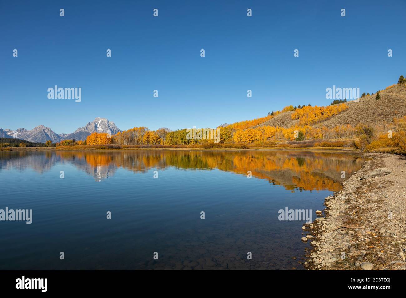 Scenic Reflection Landscape in the Tetons in Autumn Stock Photo - Alamy