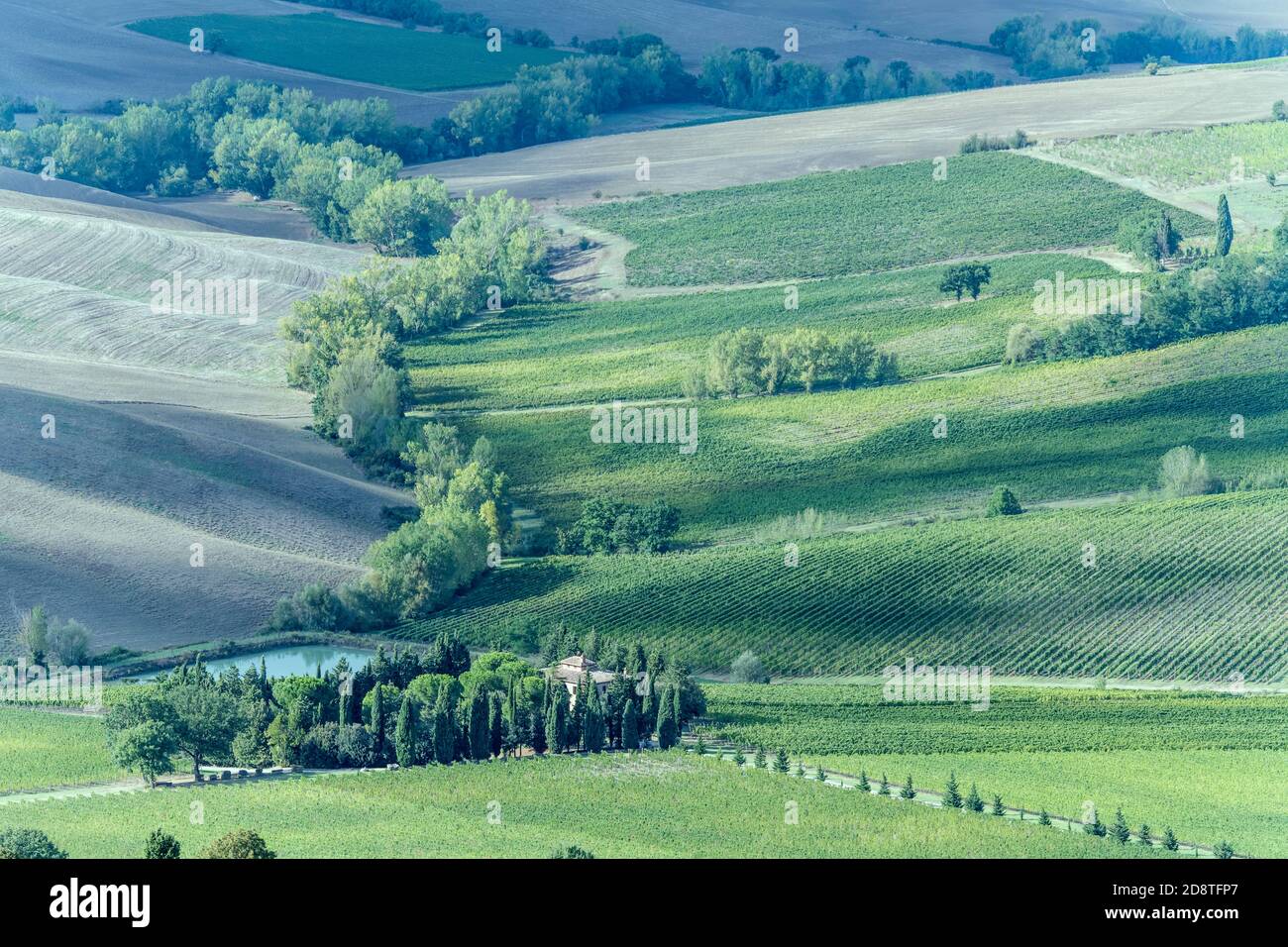 aerial landscape with little pond and vineyards in hilly countryside around historical hilltop town, shot in bright light at Montepulciano, Siena, Tus Stock Photo