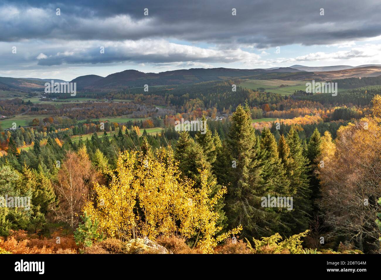 BALMORAL ESTATE RIVER DEE VALLEY ABERDEENSHIRE SCOTLAND LOOKING TOWARDS