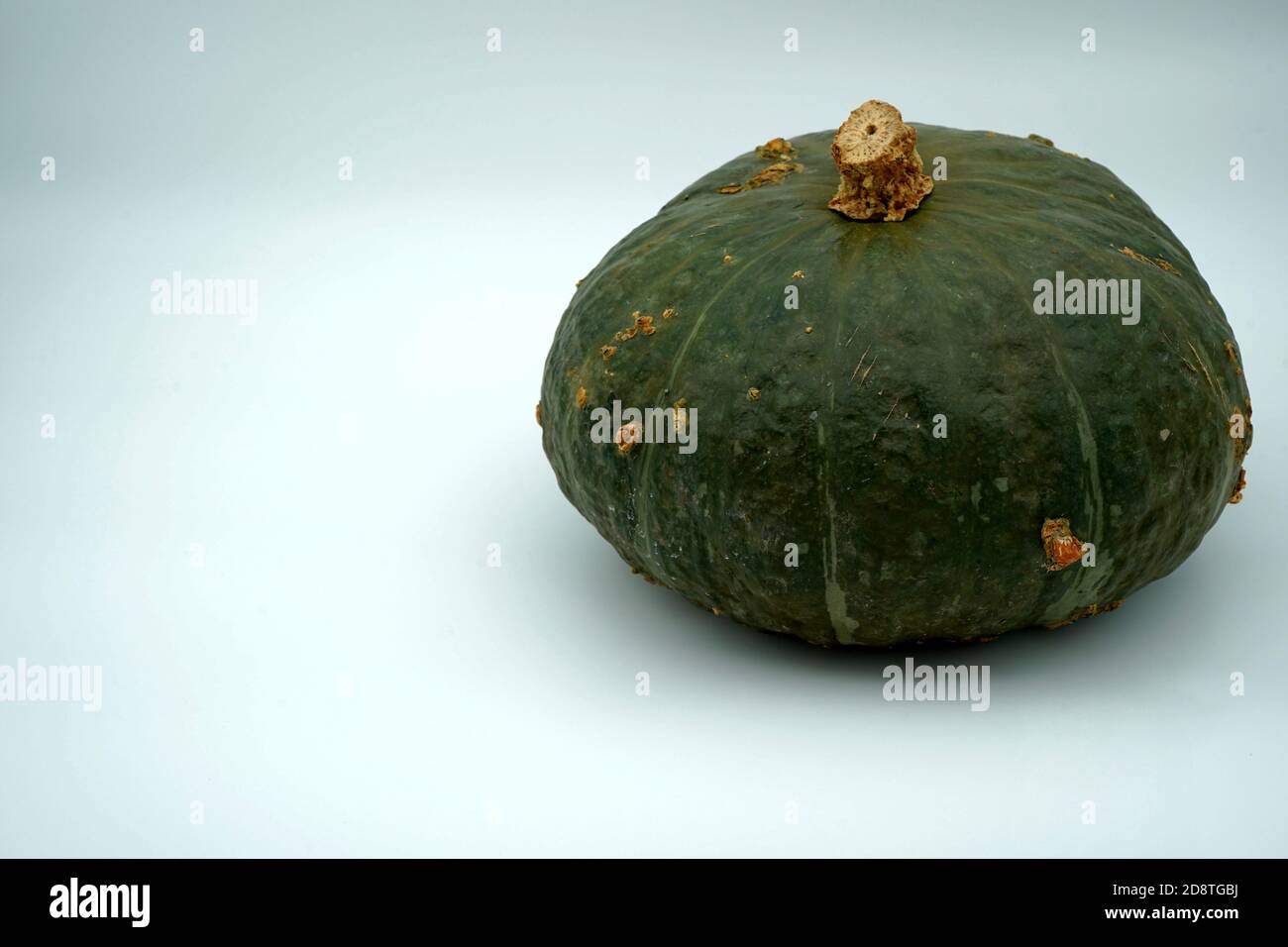 Buttercup pumpkin or squash isolated. Seasonal ripe fruit  with a lot of copy space. Suitable as food for Thanksgiving or as seasonal autumn theme. Stock Photo