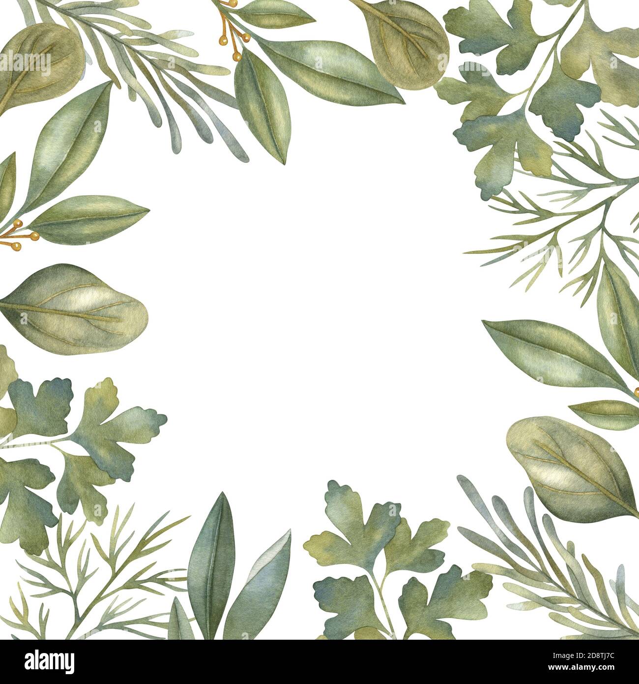 Watercolor frame with rosemary, parsley, bay leaf, sage, and dill. Hand