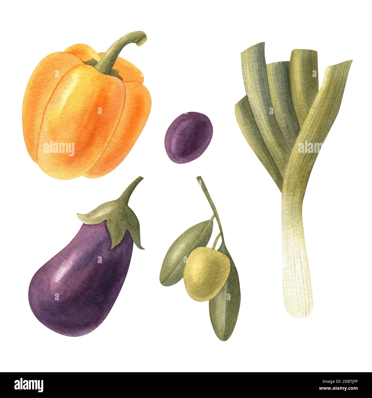 Watercolor set of fresh vegetables: eggplant, leek, bell pepper, olive, and olive branch. Bright isolated illustration on the white background. Stock Photo