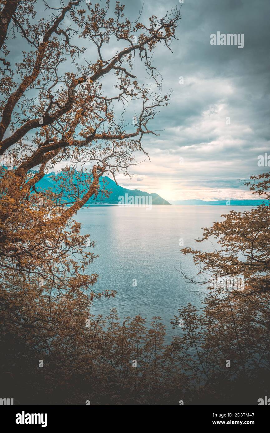 picture of a switzerland bay lake Stock Photo