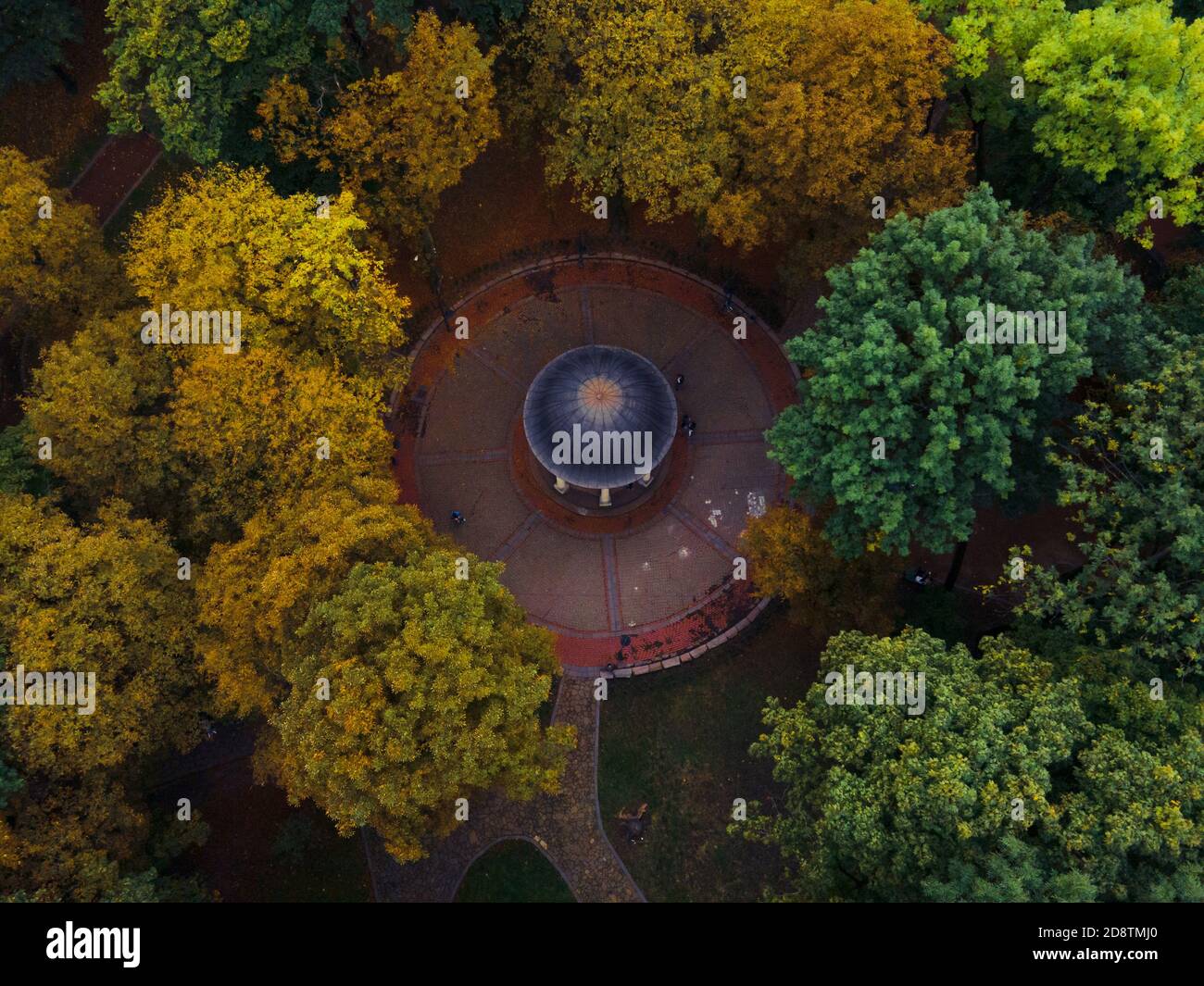 Overhead aerial view colorful trees hi-res stock photography and images ...