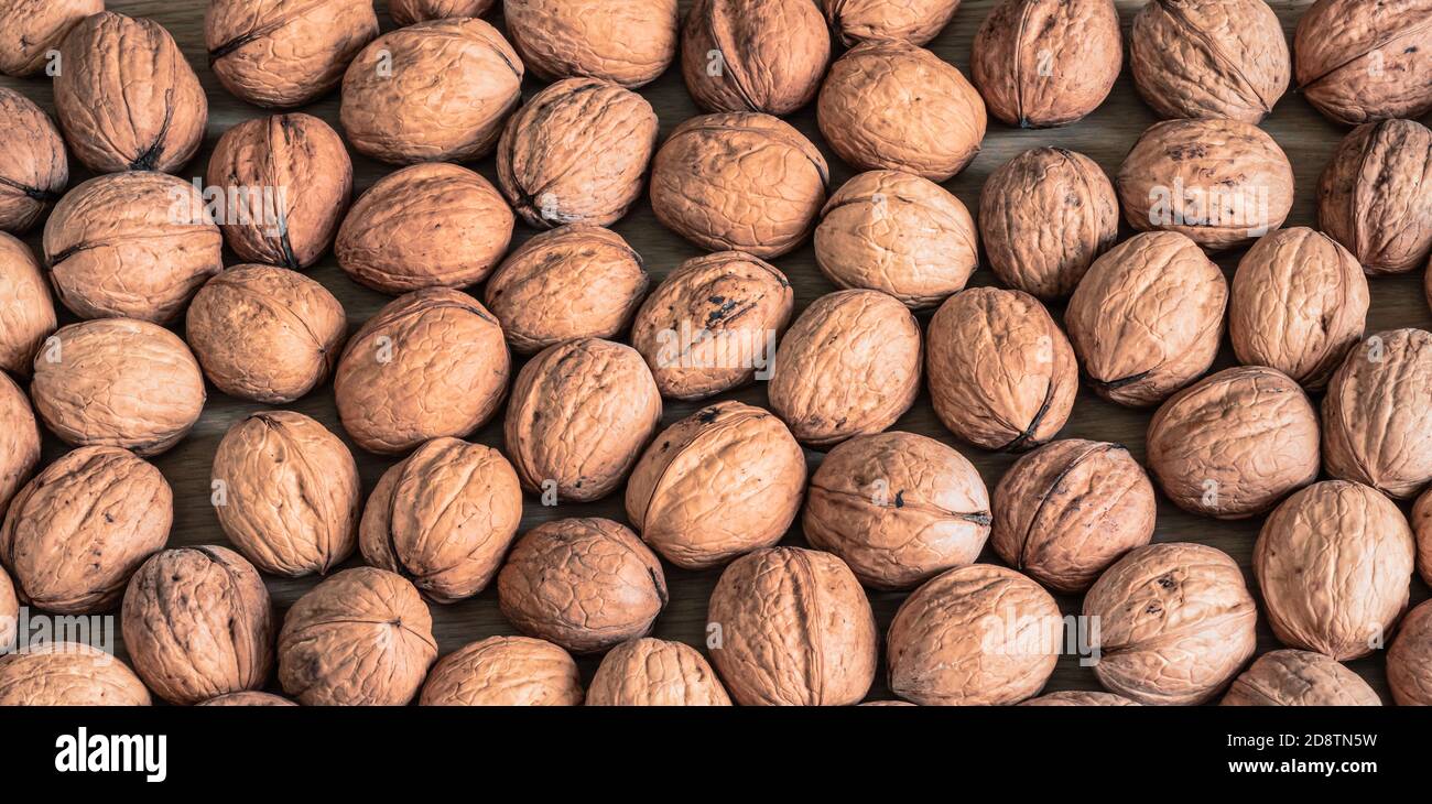 Whole brown walnuts with shell. Autumn food background. Stock Photo