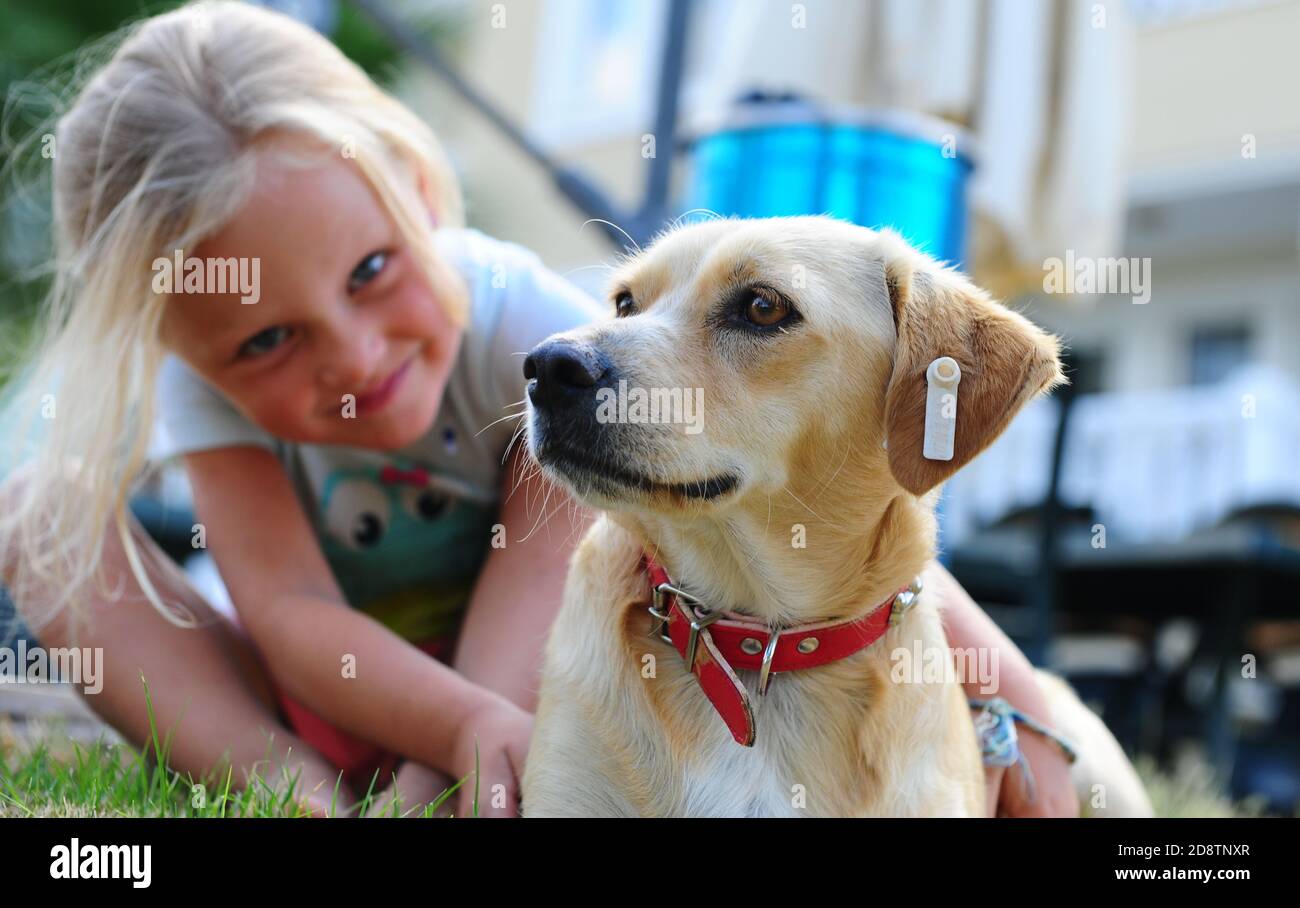 Girl has fun playing with dog in the park Stock Photo