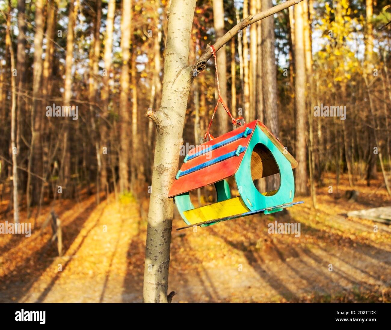 How to care and feed wild animals hires stock photography and images