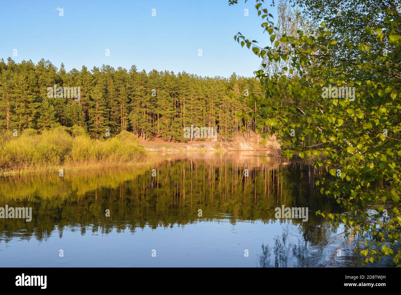 Spring river in the national Park 
