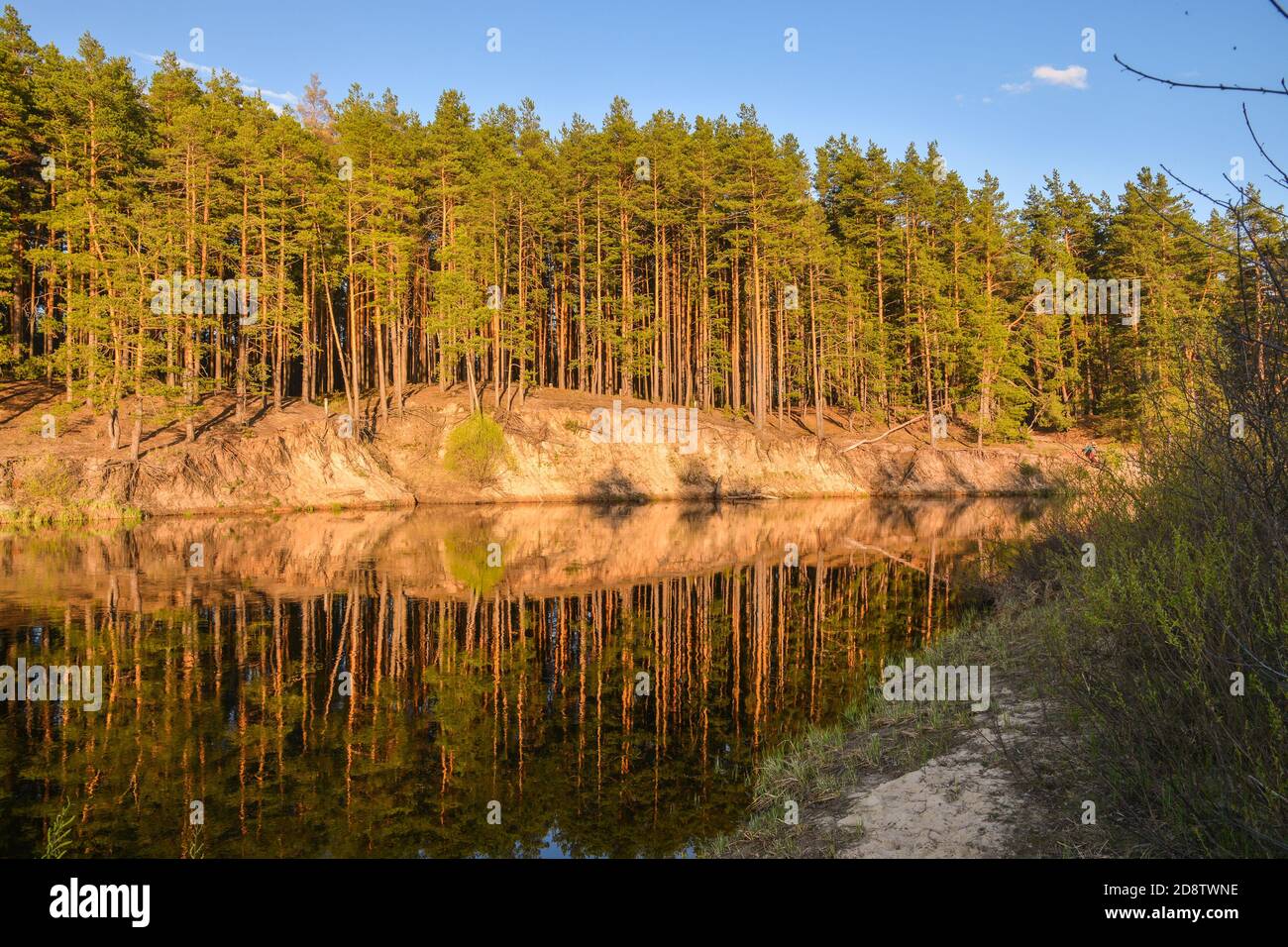 Spring river in the national Park 