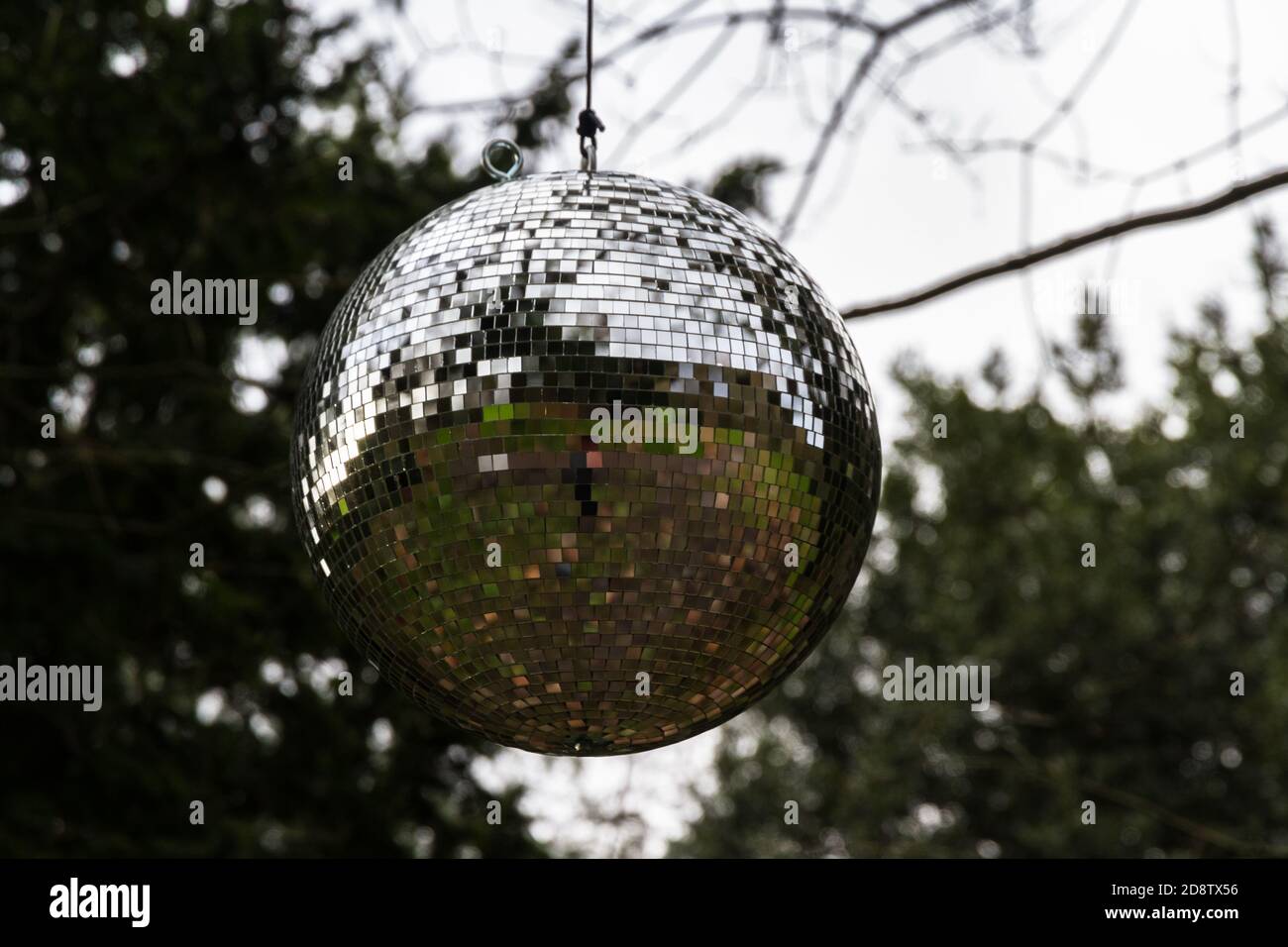 Large mirrorball hanging from a tree Stock Photo Alamy