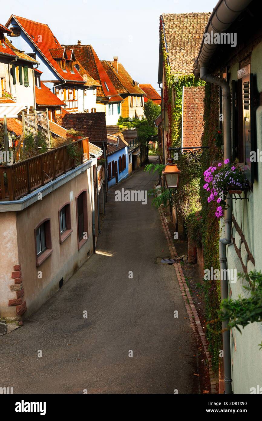 street and colorful medieval village in Alsace region, Riquewihr, France Stock Photo
