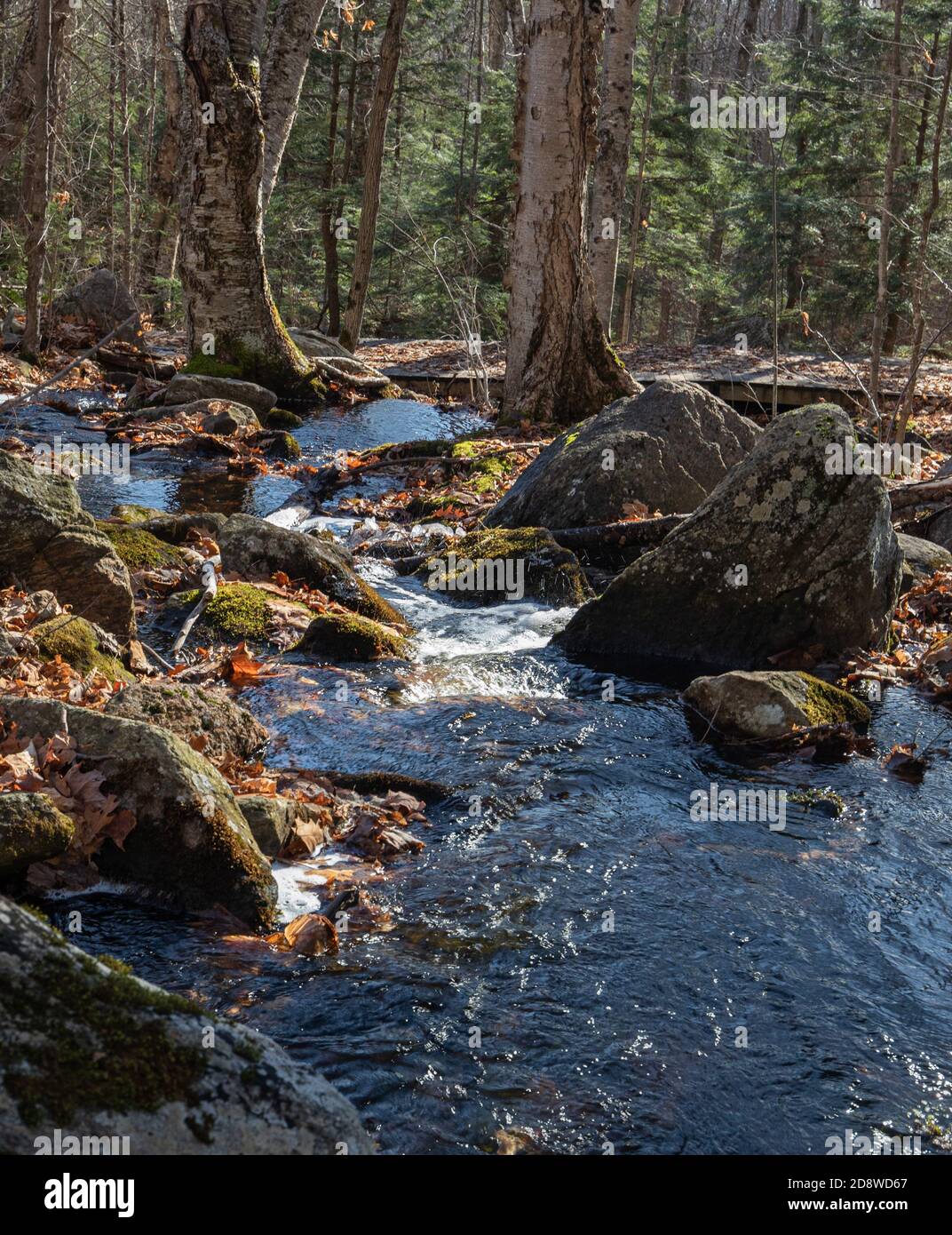 Stream flowing through autumnal hi-res stock photography and images - Alamy