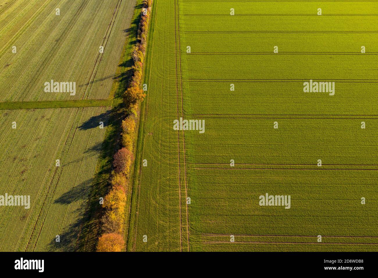 Different colors of fields and fields as well as different trees and flower strips Stock Photo