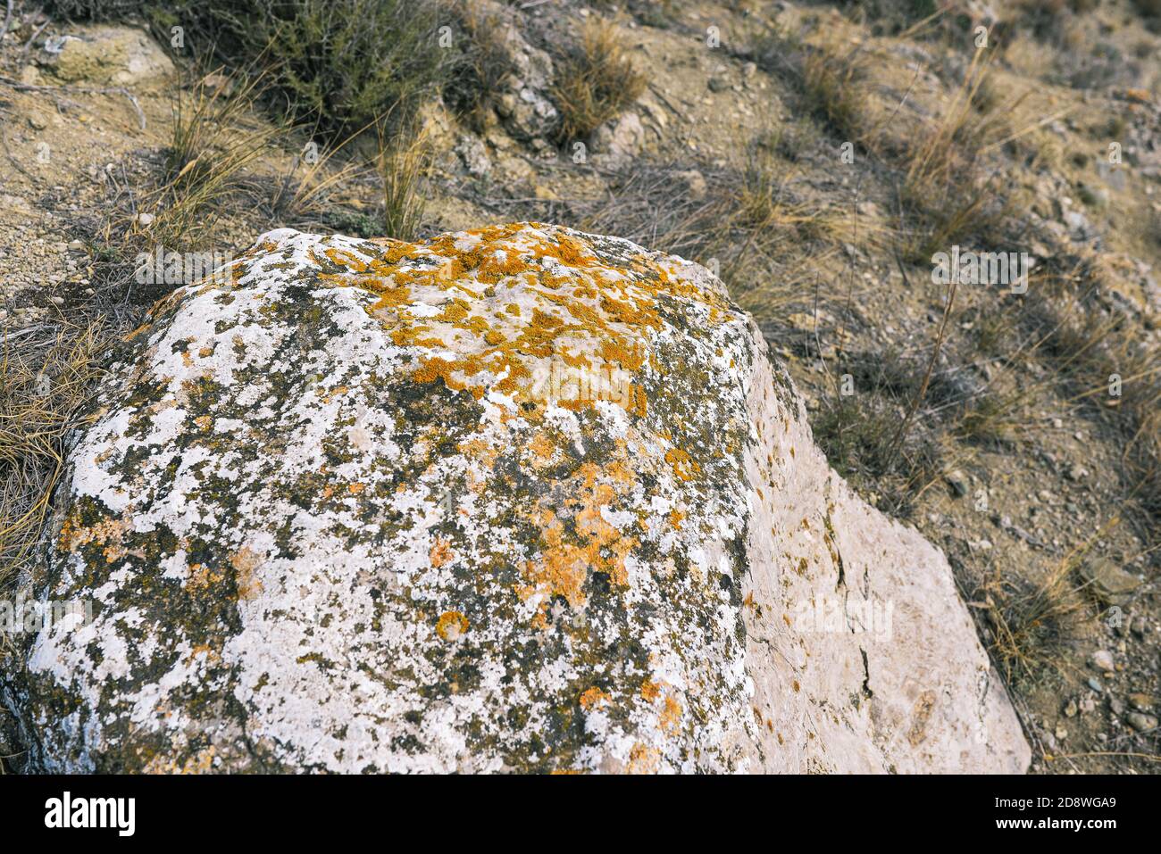 The rock on the mountain is covered with orange lichens. Mountain landscape Stock Photo