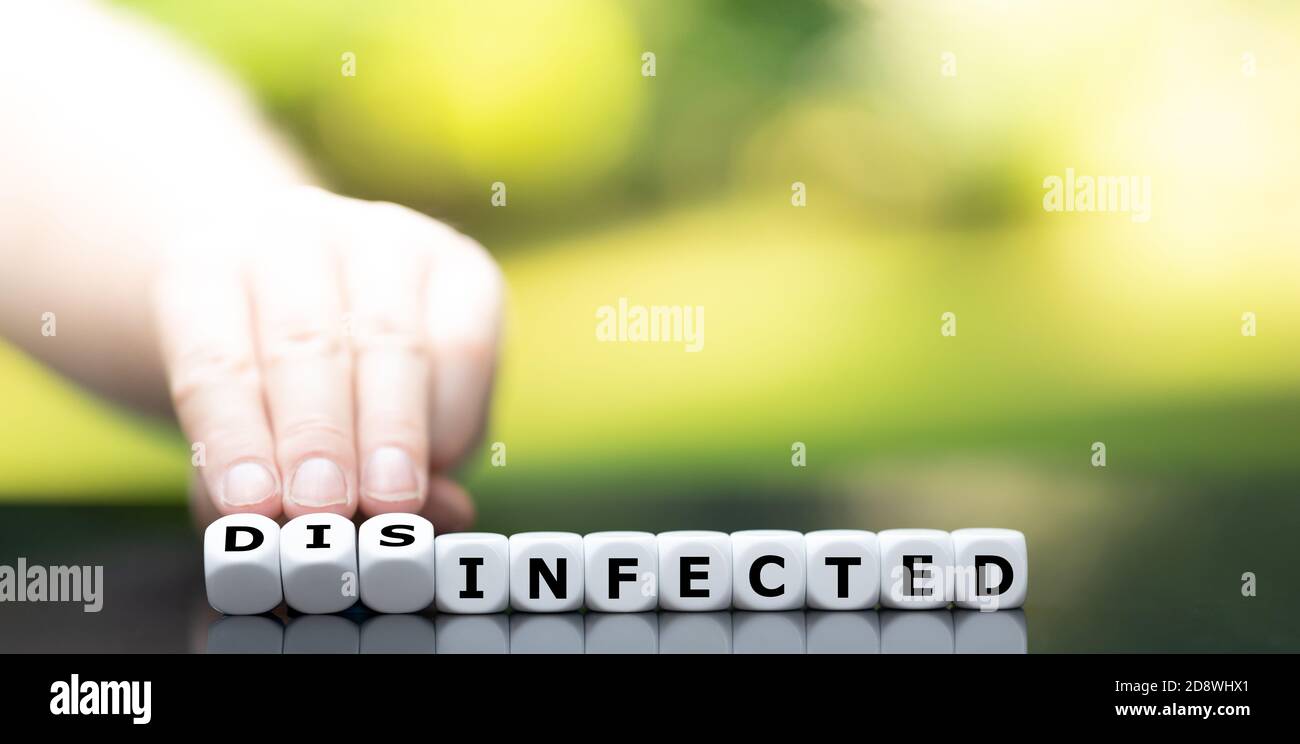 Hand turns dice and changes the word 'infected' to 'disinfected'. Stock Photo