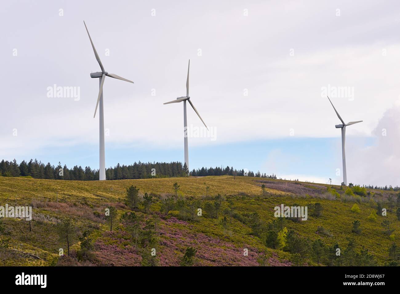 Wind turbines renewable energy on the middle of clouds in Serra da Lousa, Portugal Stock Photo