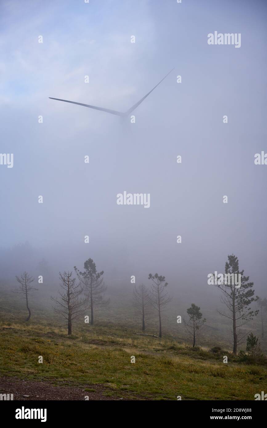 Wind turbines renewable energy on the middle of clouds in Serra da Lousa, Portugal Stock Photo