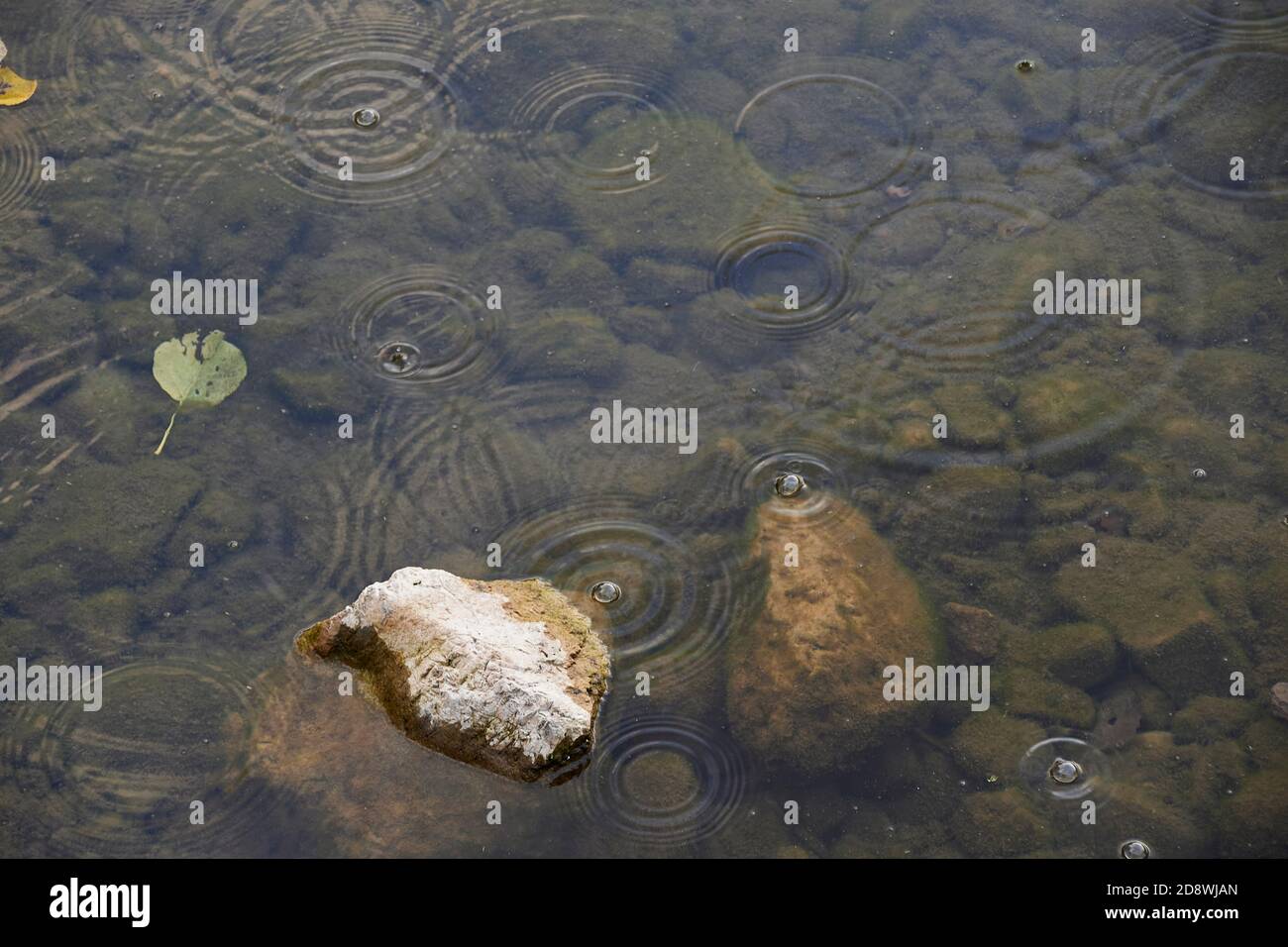 Spring water falling on leaves hi-res stock photography and images - Alamy