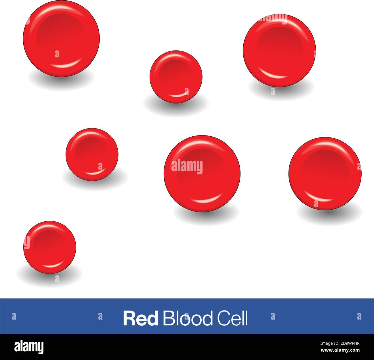 RBCs or red blood cells in white background vector design Stock Vector