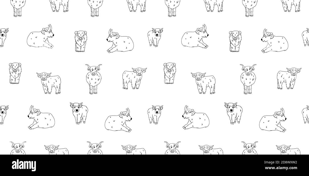 Black white seamless pattern of hand drawn small and big highland cows or bulls, which are sitting or standing, lying on the ground Stock Vector