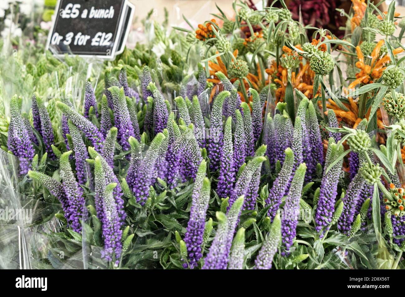 flower and plants for sale at columbia road flower market in London