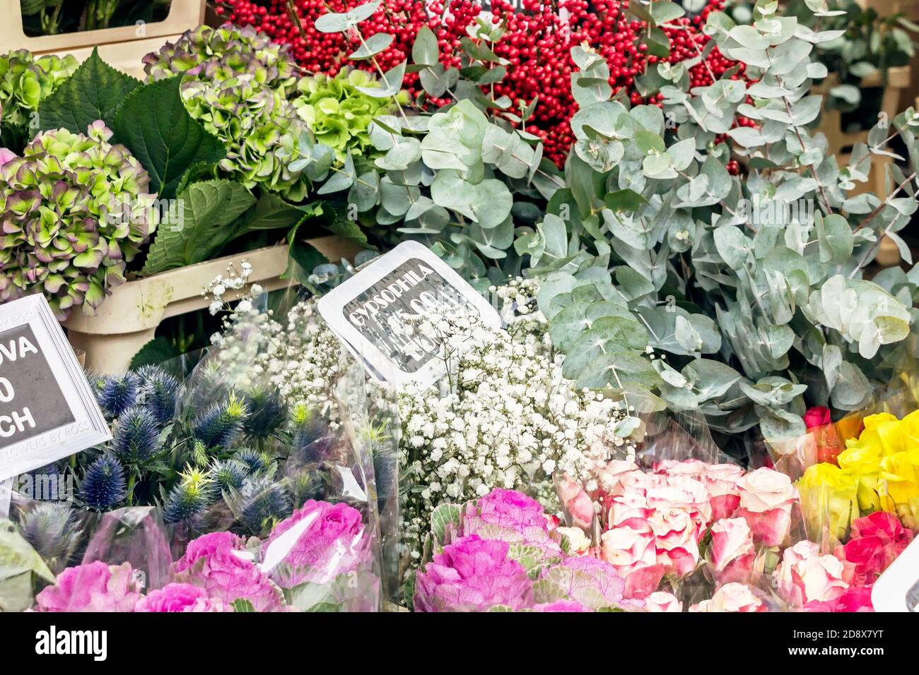 flower stall at columbia road flower market in London Stock Photo Alamy
