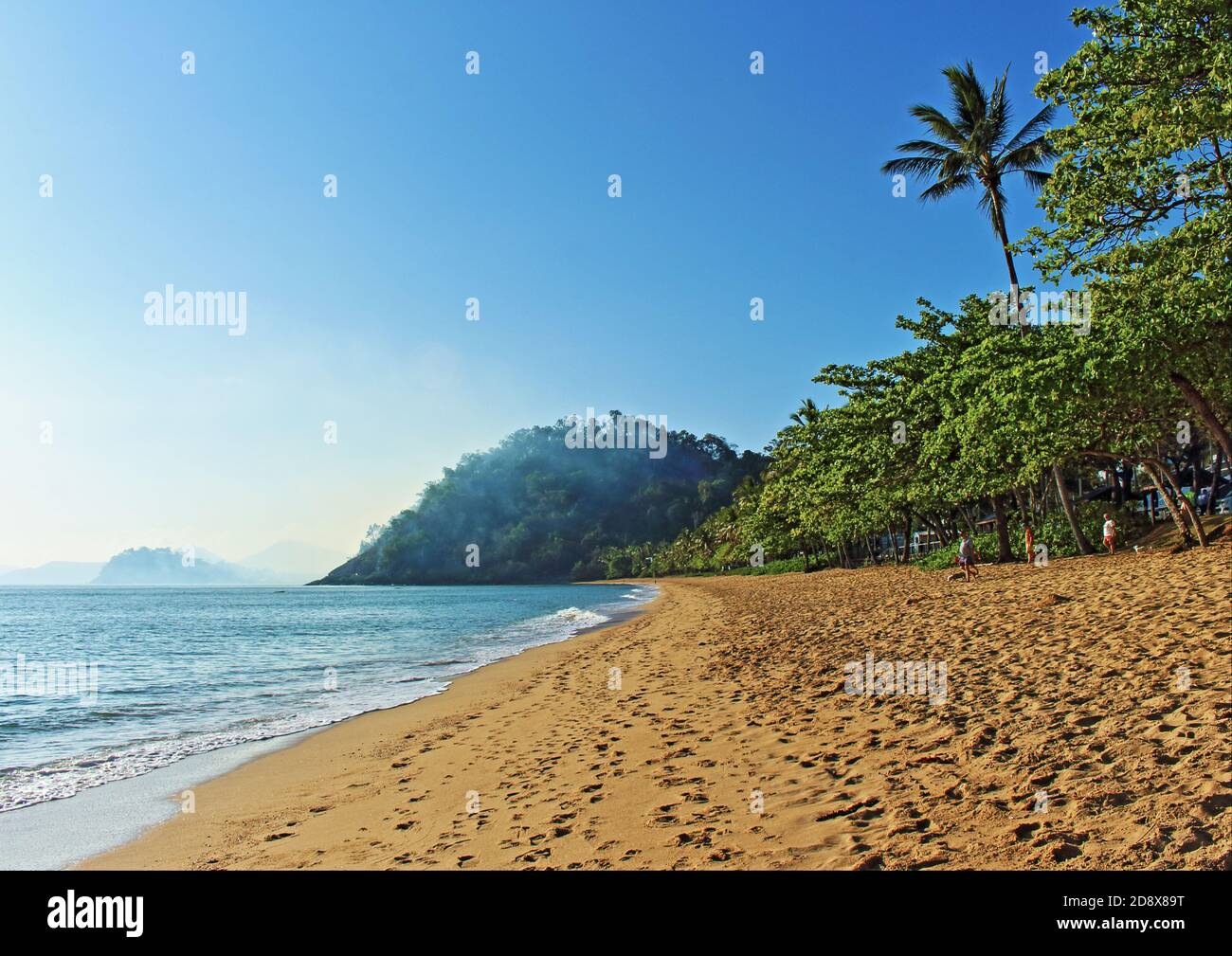 The overnight brush fire at the Earl Hill end of Trinity Beach still smolders in the morning and the stench of smoke lingers across the area Stock Photo