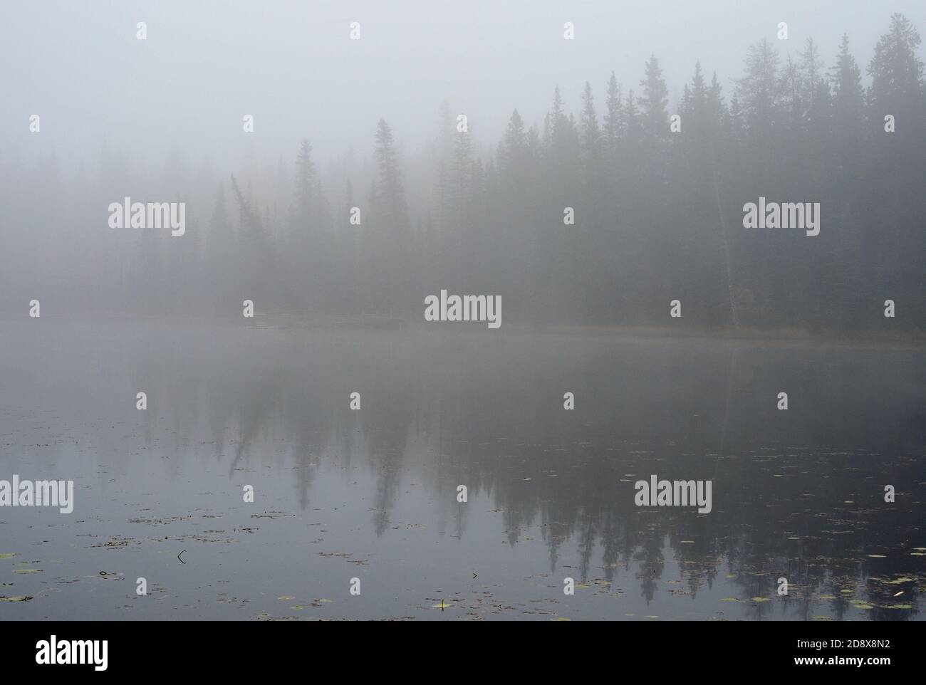 A landscape image of Maxwell lake under an early morning fog in Hinton