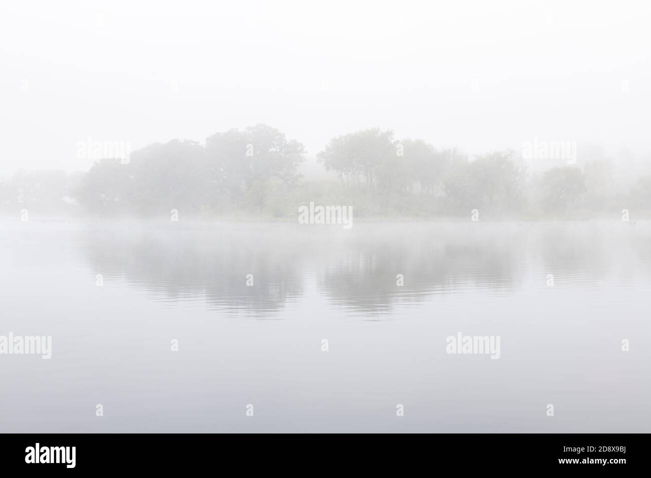 Foggy morning, Empire Lake, Minnesota, USA, by Dominique Braud/Dembinsky Photo Assoc Stock Photo