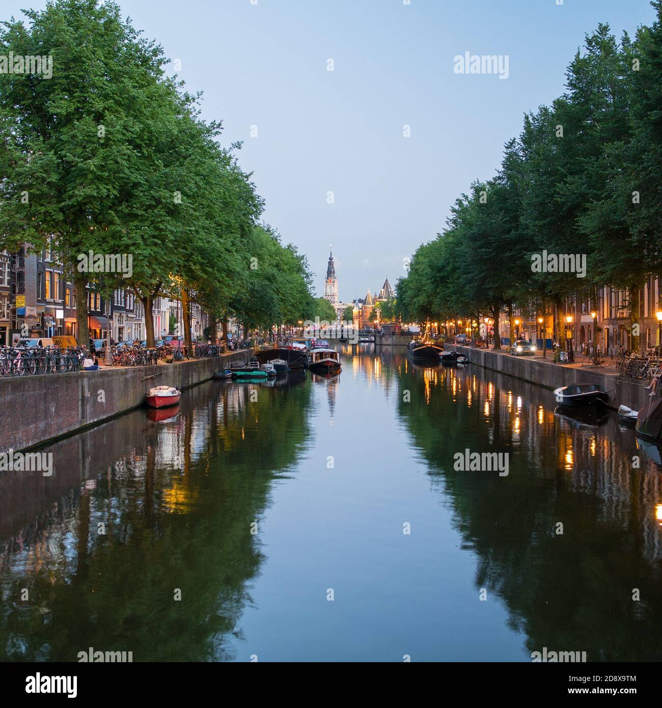 My Image 11