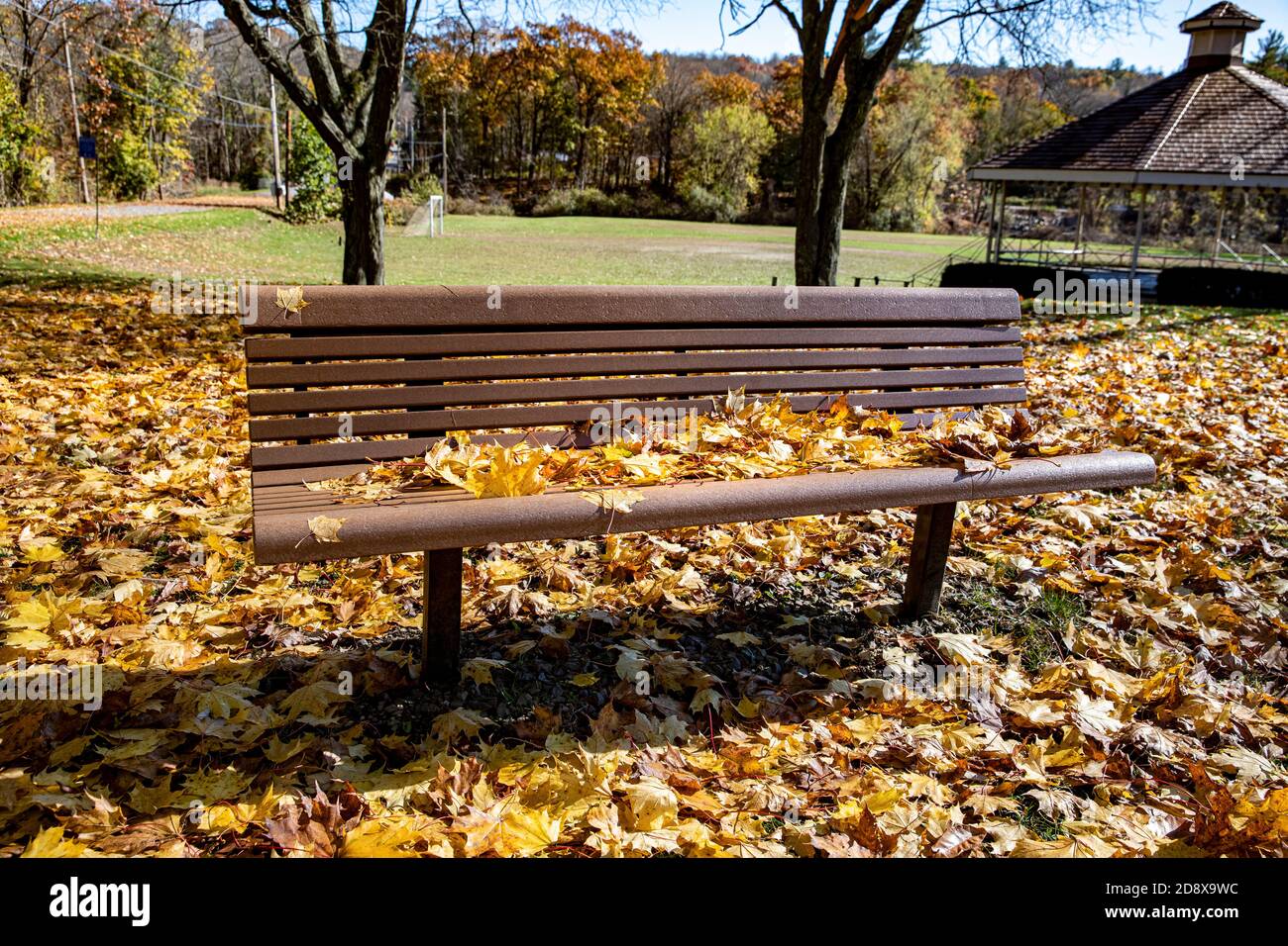 Empty bench covered fallen hi-res stock photography and images - Alamy