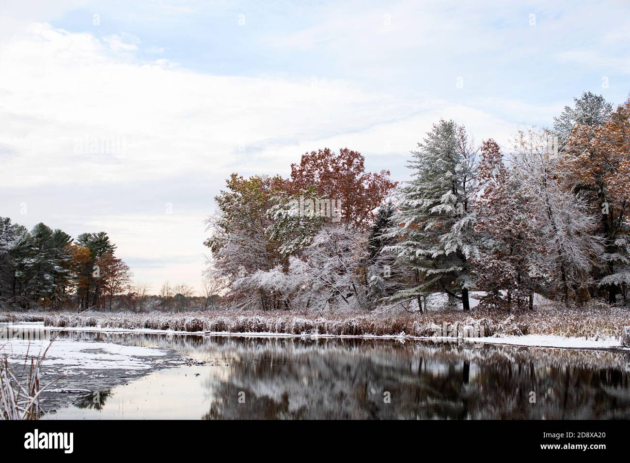 October snow on the autumn leaves at Pond in Westford, Massachusetts, USA Stock Photo Alamy