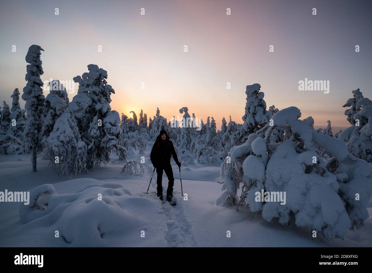 Ski touring at Pyhä-Luosto National Park, Lapland, Finland Stock Photo