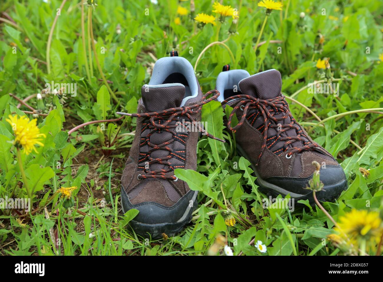 Closeup of a pair of hiking boots on the ground covered in greenery at
