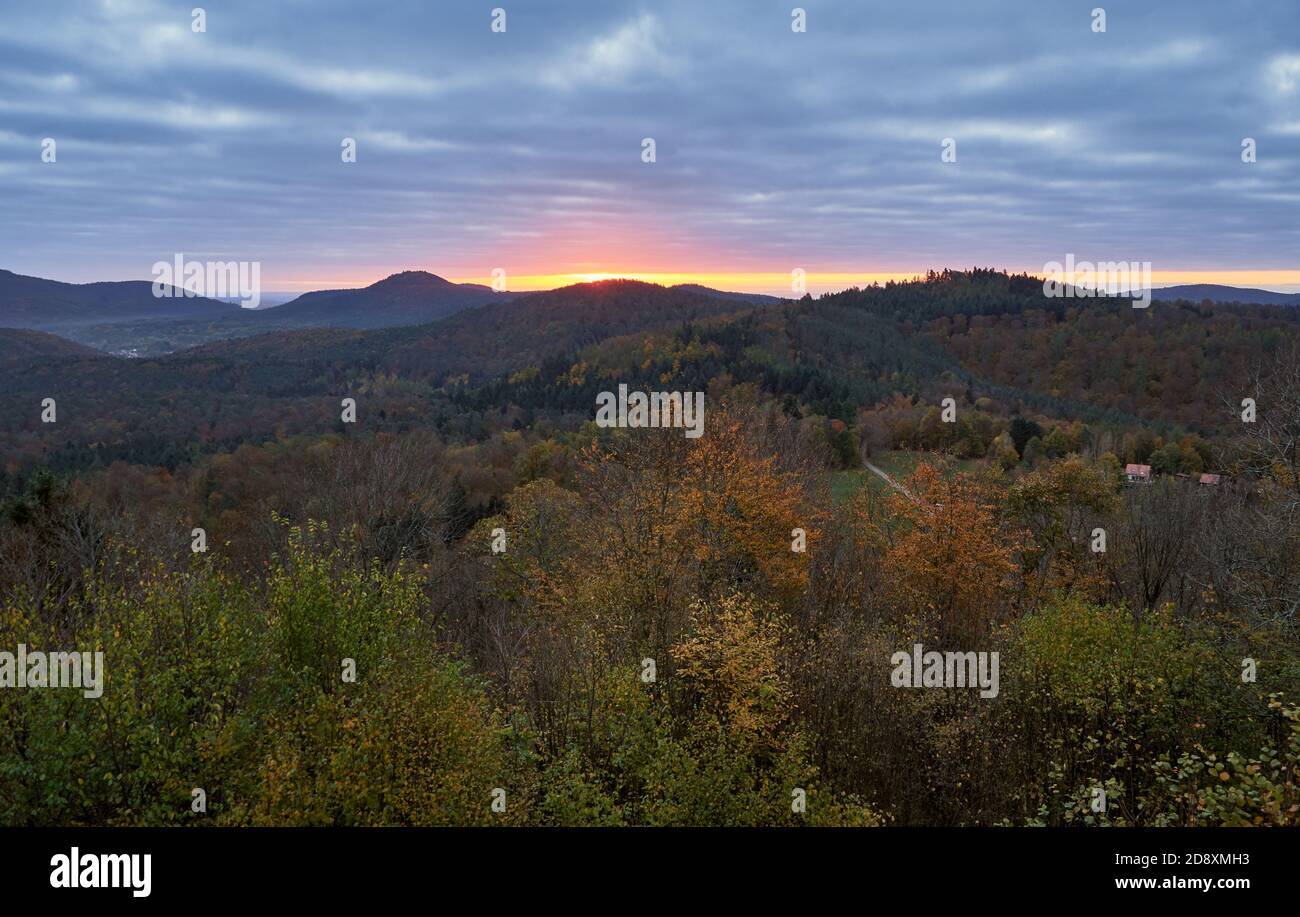Autumn morning with glowing sunrise at the Palatinate forest in Germany Stock Photo