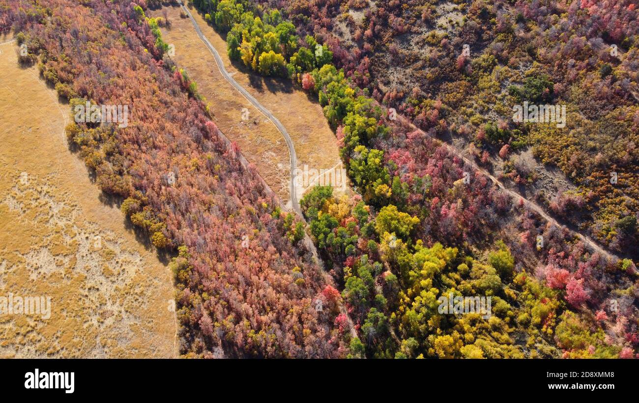 Aerial photo of Fall colors on a trail in the Wasatch Mountains in Utah. Stock Photo