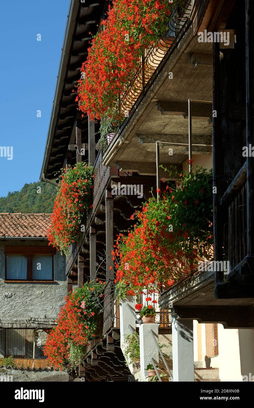 Bienno (Bs),Valcamonica,Italy, some typical flowering balconies Stock ...