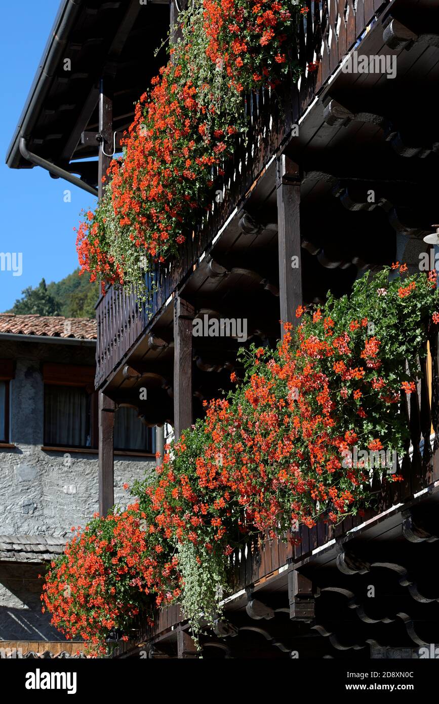 Bienno (Bs),Valcamonica,Italy, some typical flowering balconies Stock ...