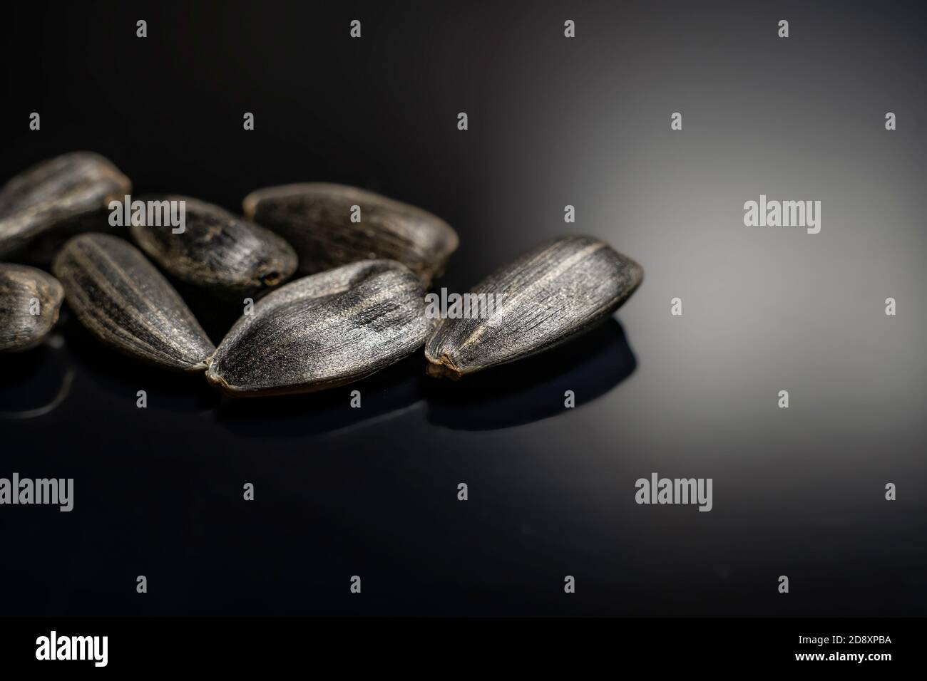sunflower seeds on a black background macrophoto Stock Photo - Alamy