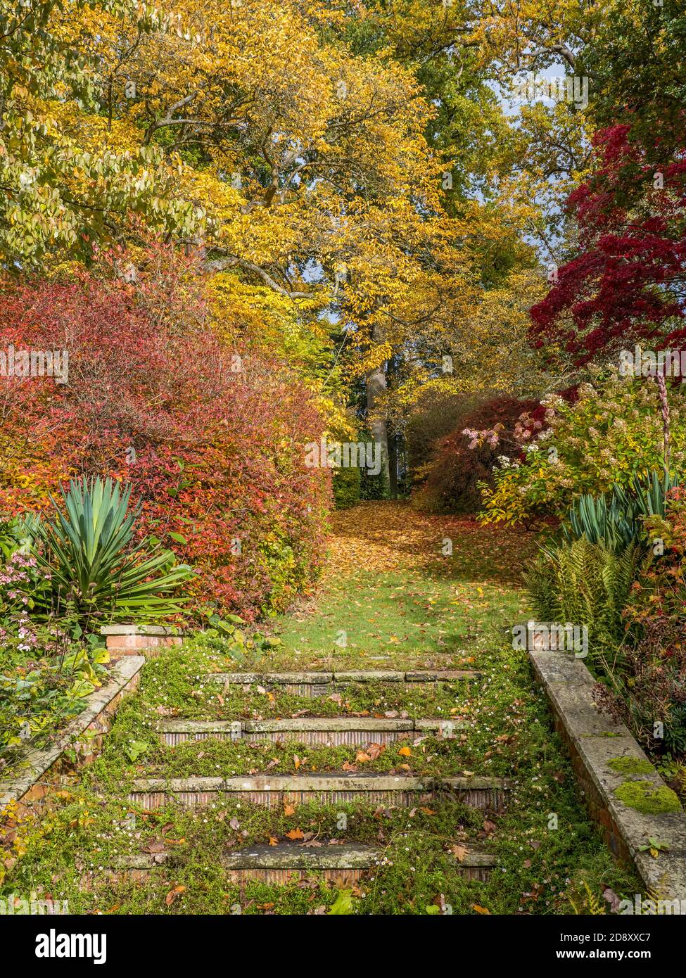 Stairs & Steps Gallery - Calendula Farm & Earthworks