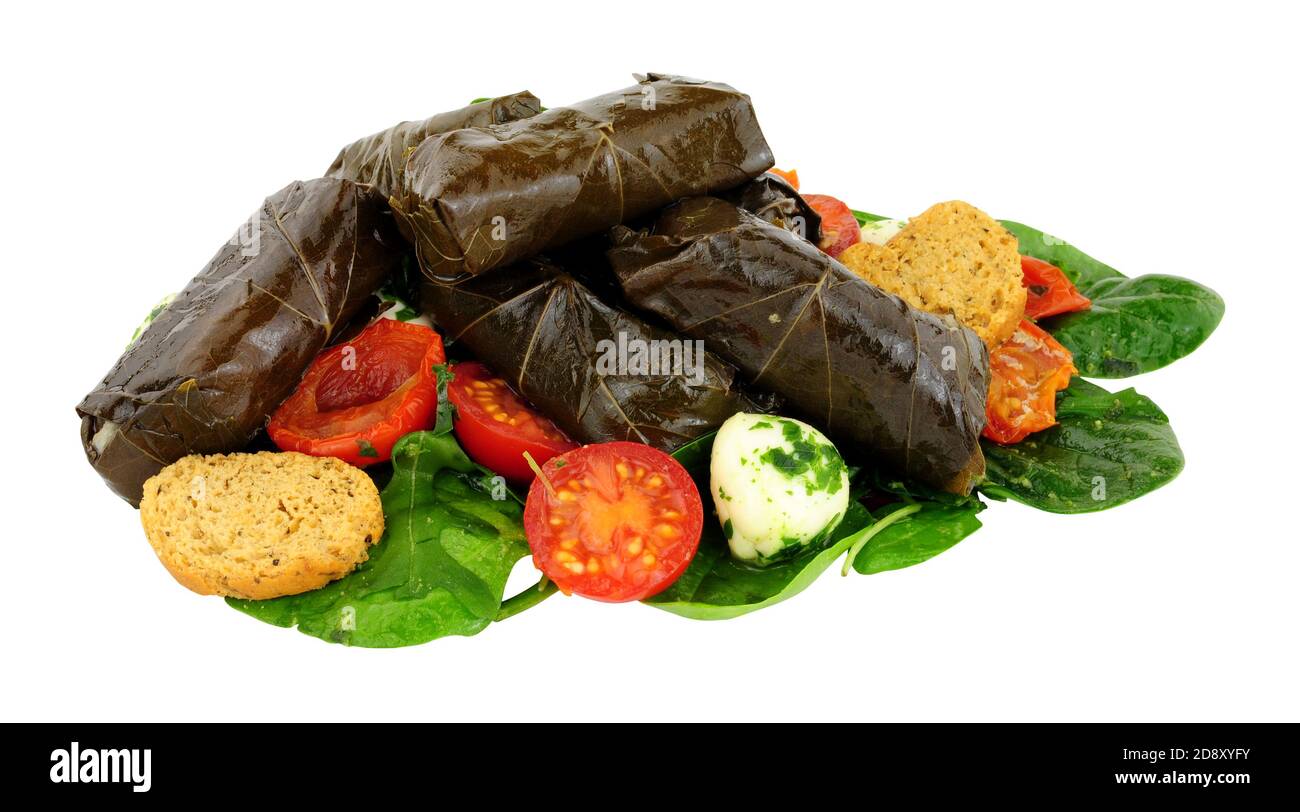 Stuffed vine leaves filled with rice and herbs with tomatoes and cheese balls isolated on a white background Stock Photo