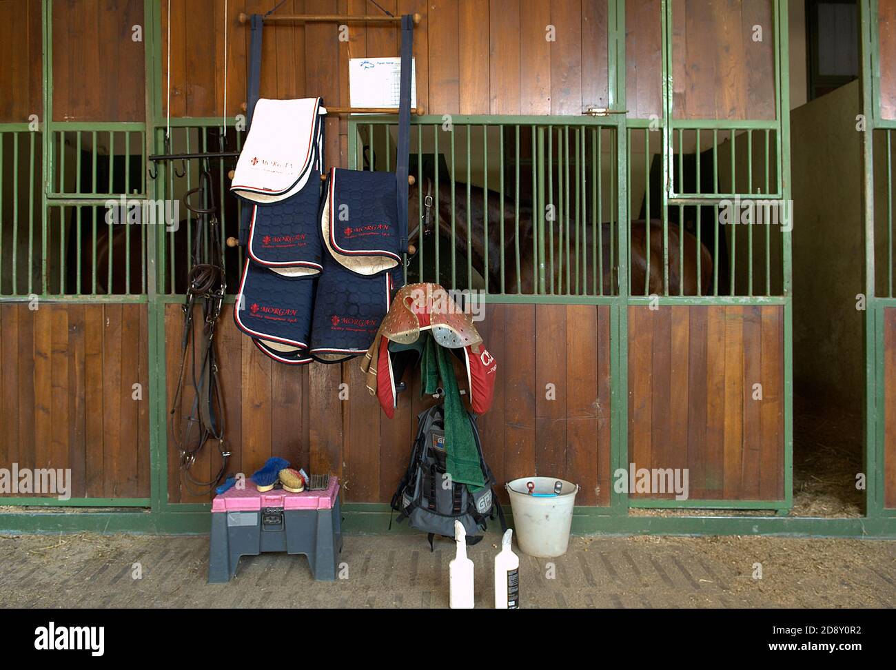 horses in the stable in a riding horses Stock Photo - Alamy