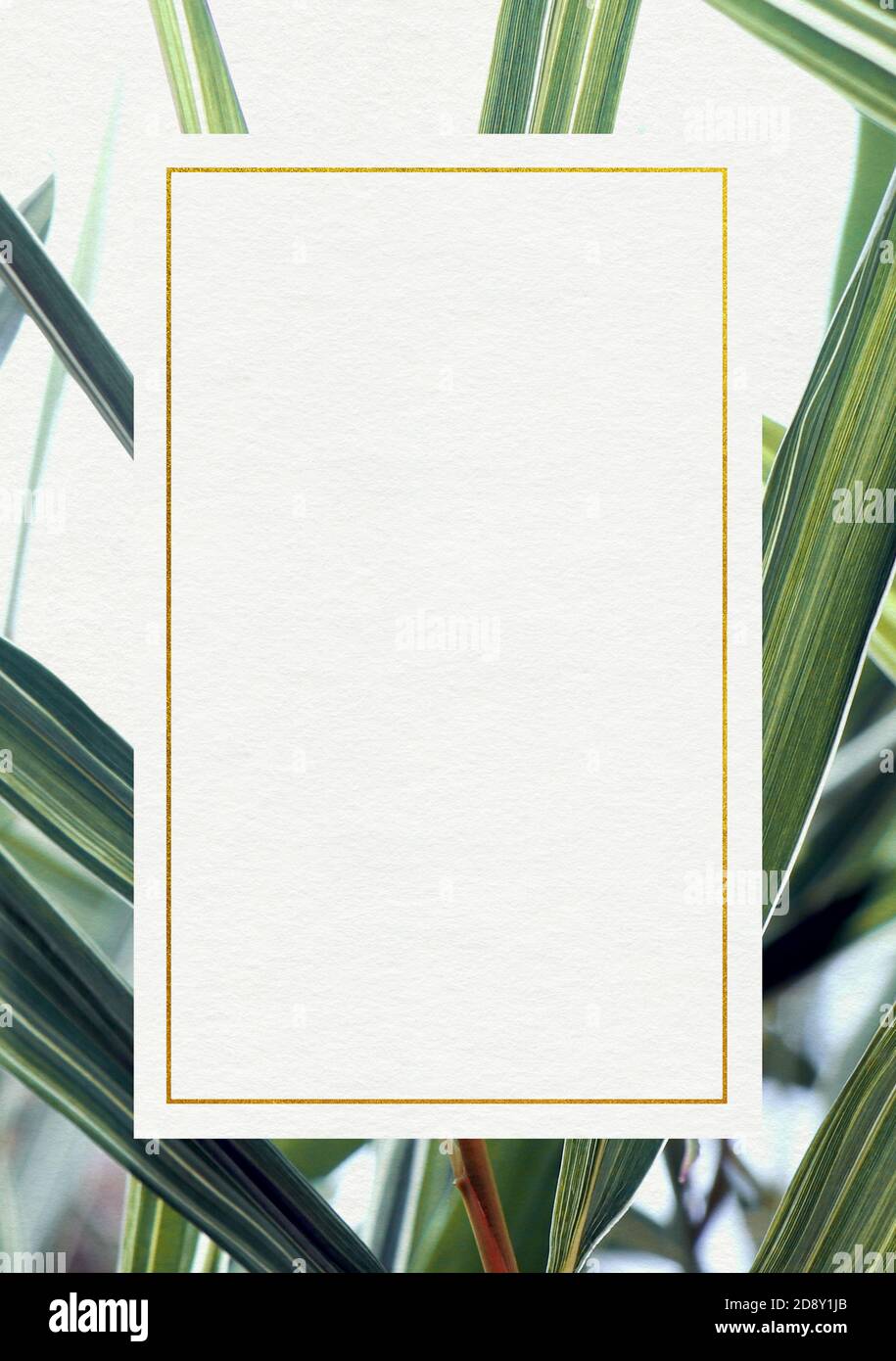 Premium Wedding invitation Template of Bamboo leafs with golden yellow frame. Wedding invitation, thank you card, save the date cards. Wedding invitat Stock Photo