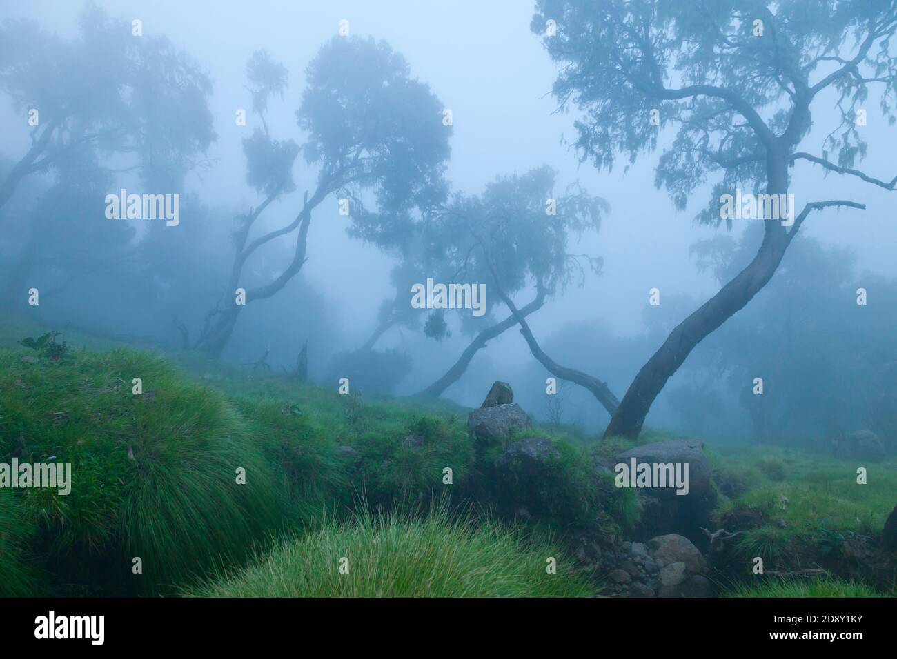 Parque Nacional Montañas Simien, Etiopia, Africa Stock Photo Alamy