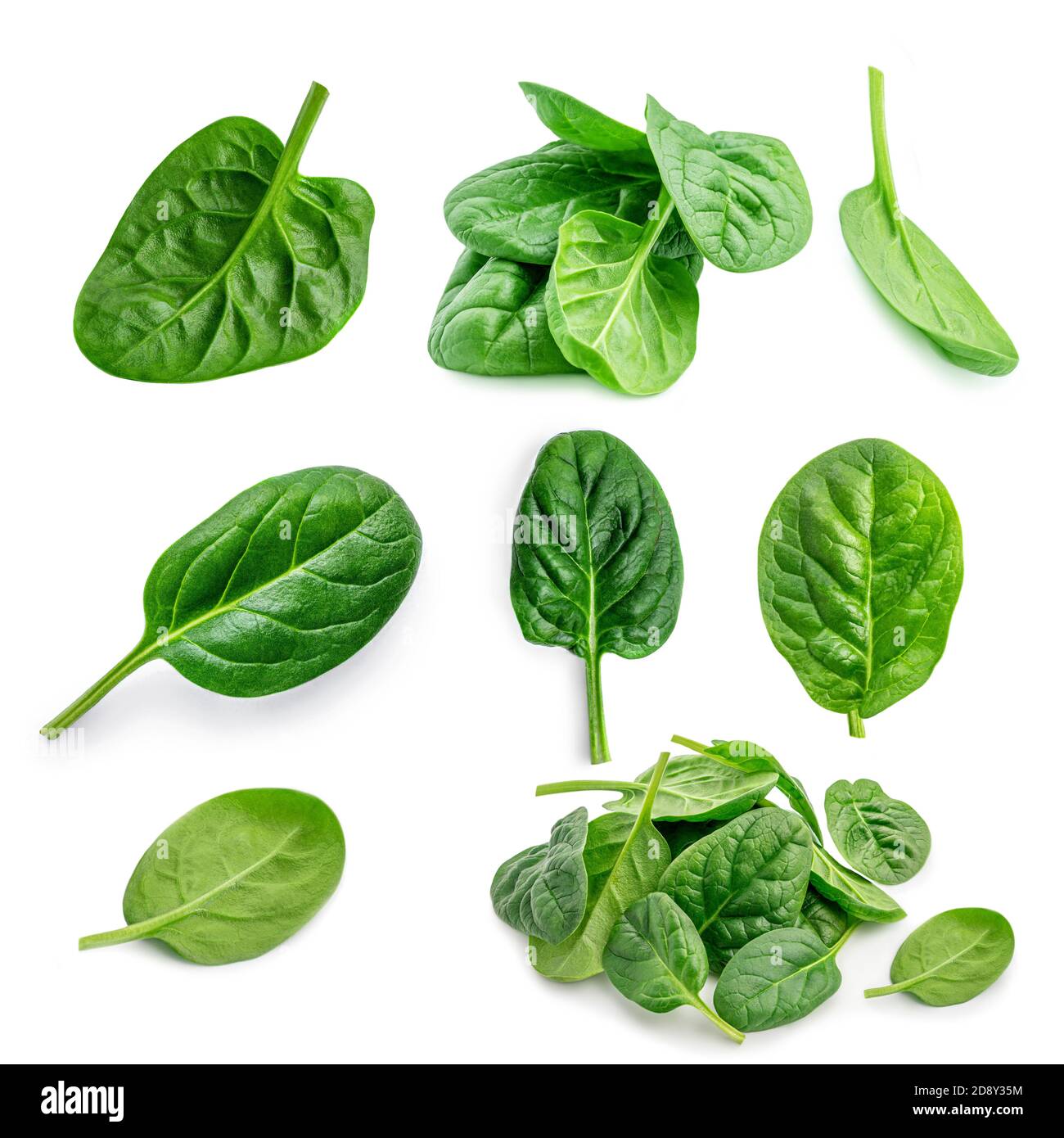 Spinach leaves  Set  isolated on white background. Fresh green spinach collection. Top view. Flat lay. Stock Photo