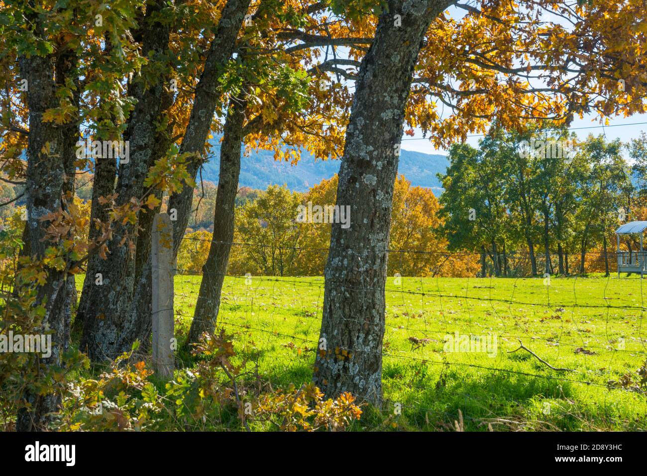 Autumn landscape. Montejo de la Sierra, Madrid province, Spain. Stock Photo