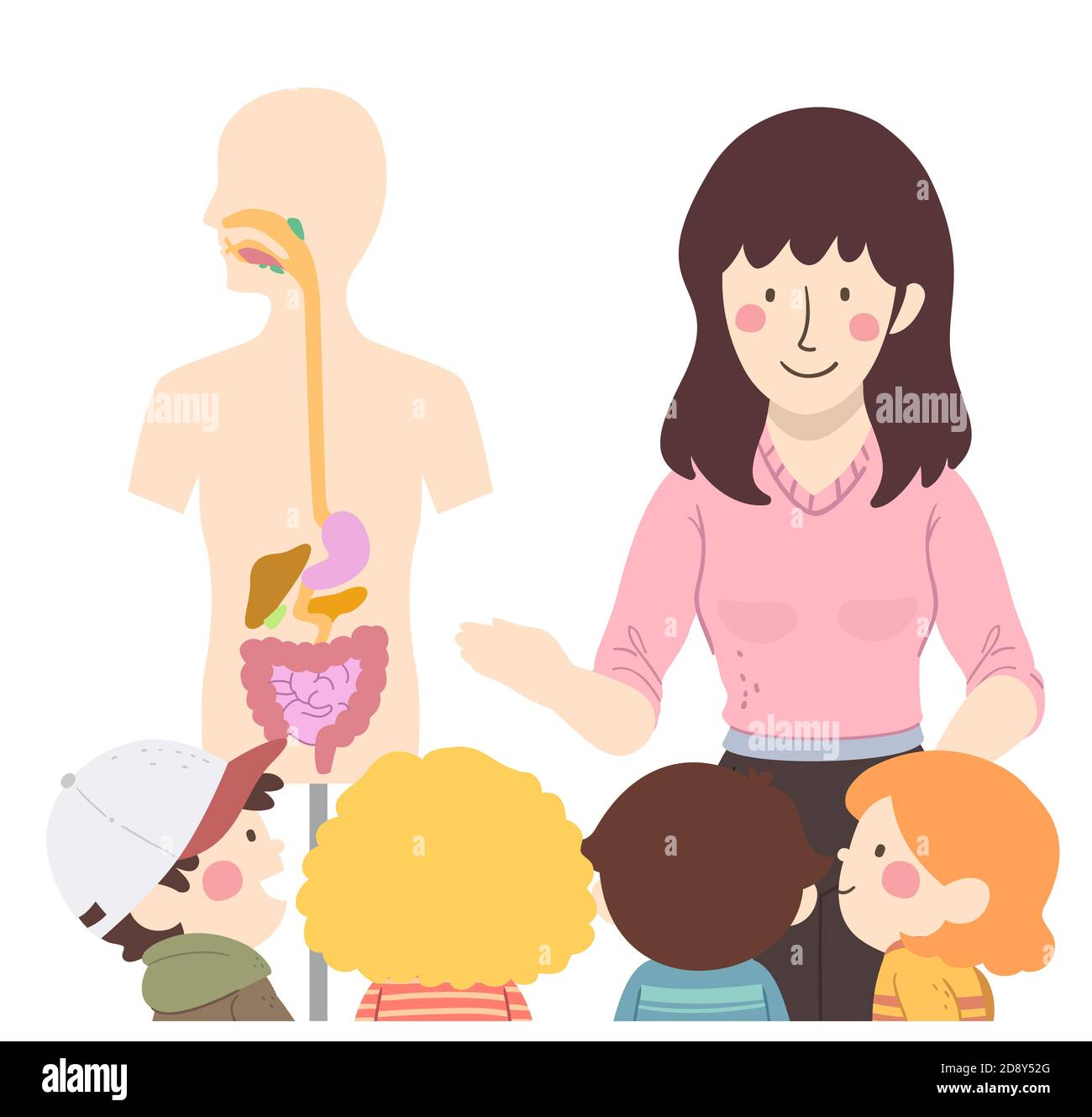 Illustration of a Girl Teacher Teaching the Digestive System Using Model to Her Students Stock Photo