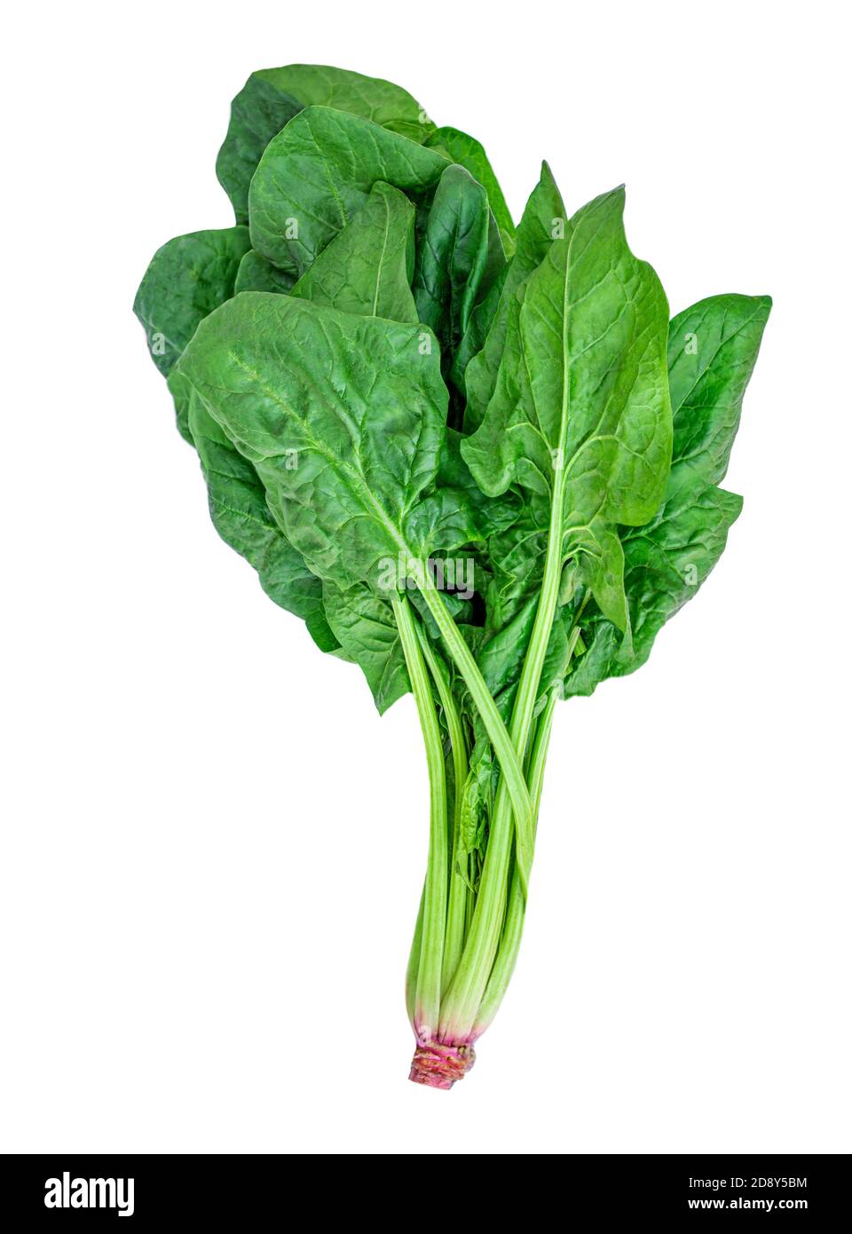 Spinach leaves isolated on white background. Fresh green spinach bunch Top  view. Flat lay Stock Photo - Alamy