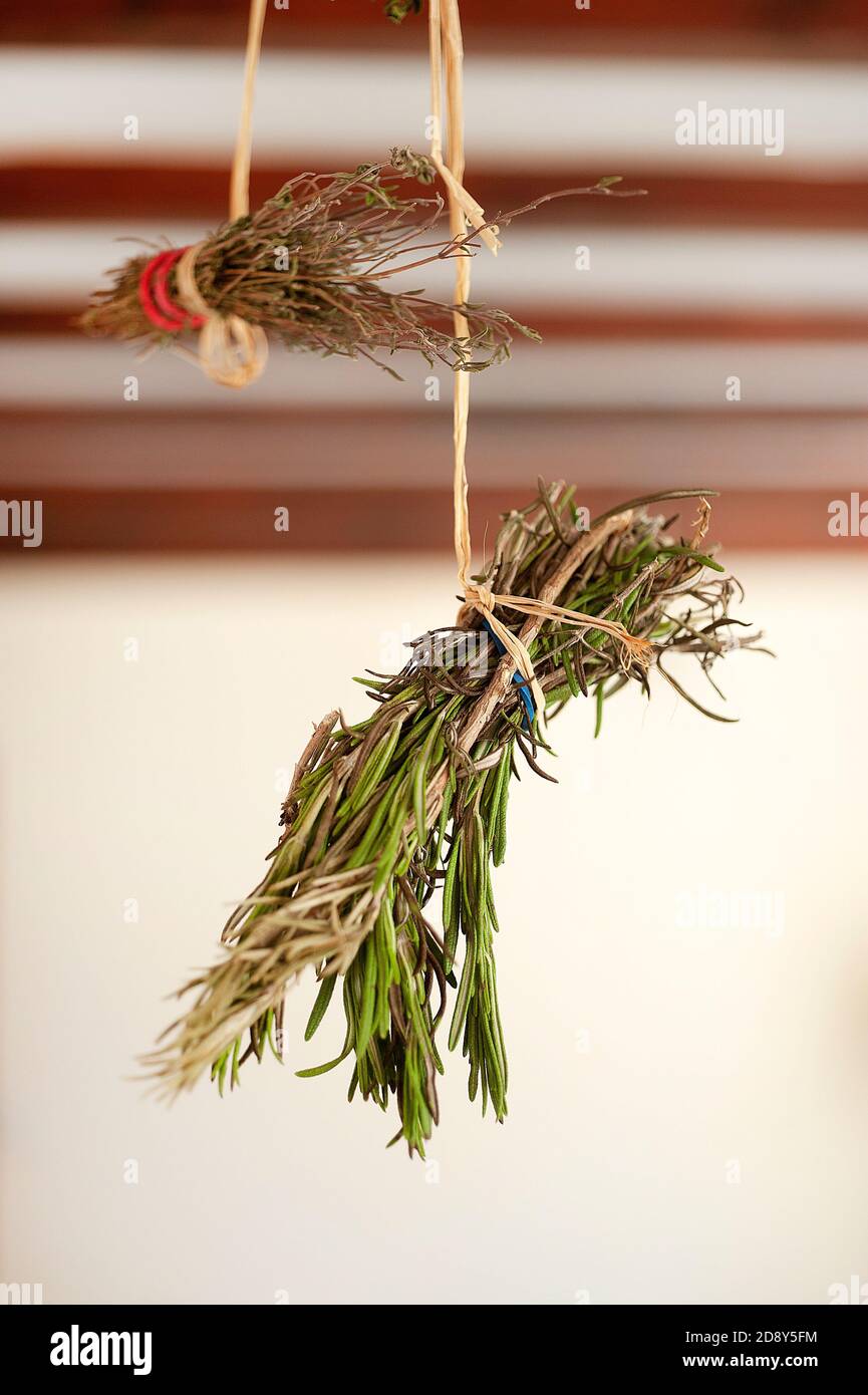 Rosemary and Thyme hanging in kitchen to dry Stock Photo Alamy