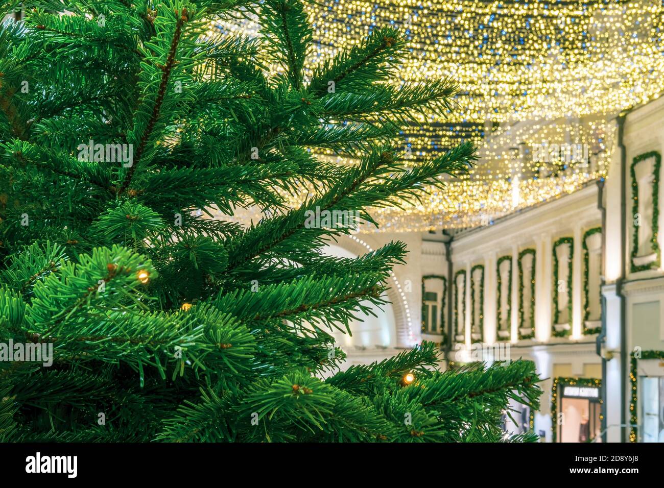 Decorating Christmas trees near buildings during New Years celebration